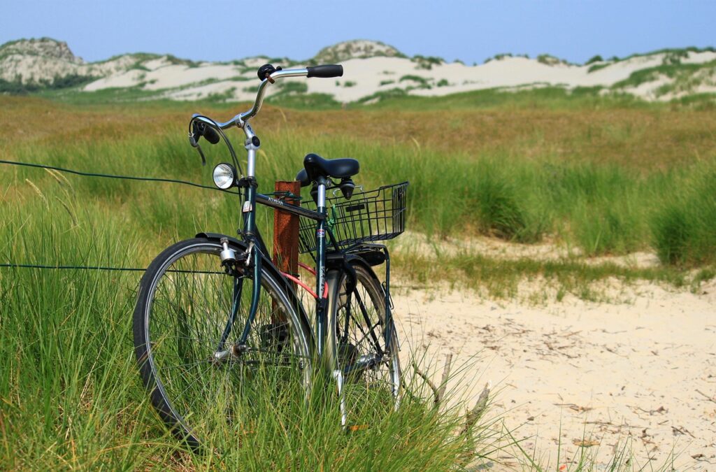 bicycle, sand dunes, sand-259775.jpg